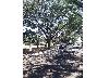 Residential Lot for Sale in Marina Bay South, Paranaque